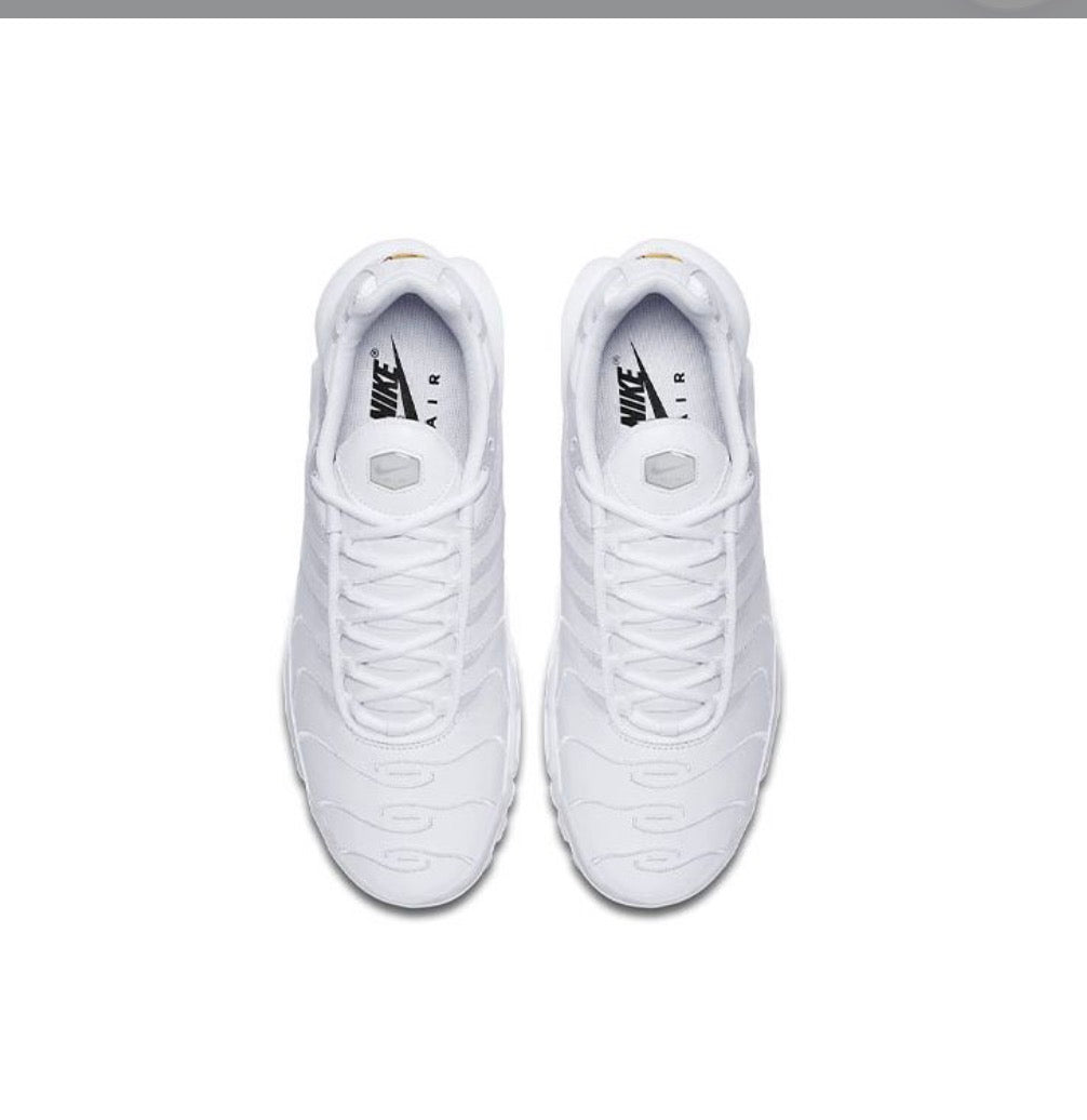Tn nike air full White